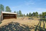 3590 Burns Ave - Photo 35
