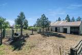 3590 Burns Ave - Photo 36