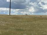 Tract 334 Bering Rd - Photo 4