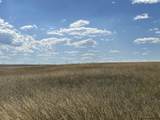 Tract 334 Bering Rd - Photo 6