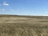 Tract 334 Bering Rd - Photo 7