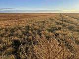 TBD Road 164 - Photo 8