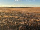 TBD Road 164 - Photo 6