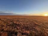 TBD Road 164 - Photo 2