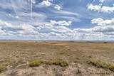 Tr 91 Wild Horse Ranch - Photo 32