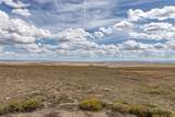 Tr 91 Wild Horse Ranch - Photo 33
