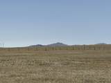 Tract 214 Carribean Rd - Photo 5