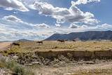 Tr 91 Wild Horse Ranch - Photo 3