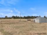 4585 Canvasback Ln - Photo 11