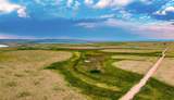 TR 206A Wild Horse Ranch - Photo 21