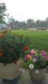 311 Grande Vista Rd - Photo 31