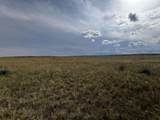 TBD Buggy Rd - Photo 14