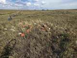 TBD Buggy Rd - Photo 15