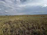TBD Buggy Rd - Photo 16