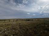 TBD Buggy Rd - Photo 18