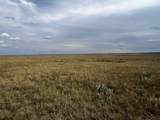 TBD Buggy Rd - Photo 9