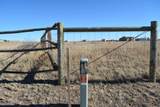 Tract 3 Mugho Rd - Photo 3