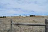 Tract 3 Mugho Rd - Photo 6