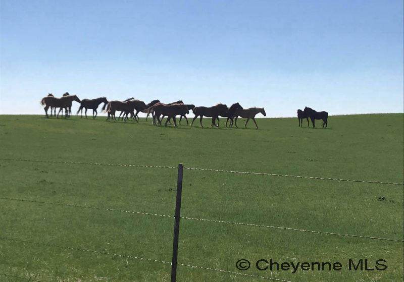 https://bt-photos.global.ssl.fastly.net/cheyenne/1280_boomver_1_100878-2.jpg