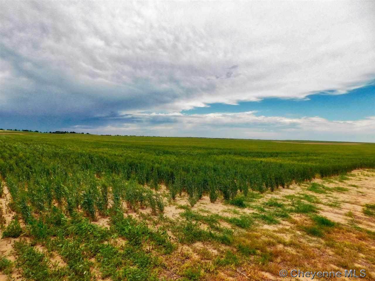 TBD Road 164 - Photo 1