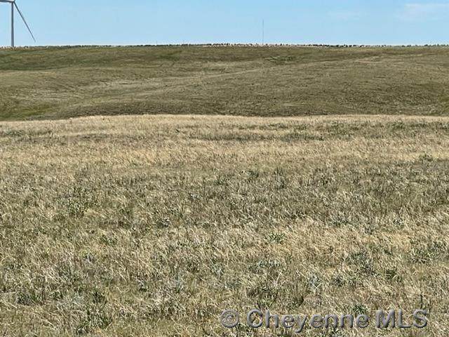 Tract 361 South Carolina Rd - Photo 1