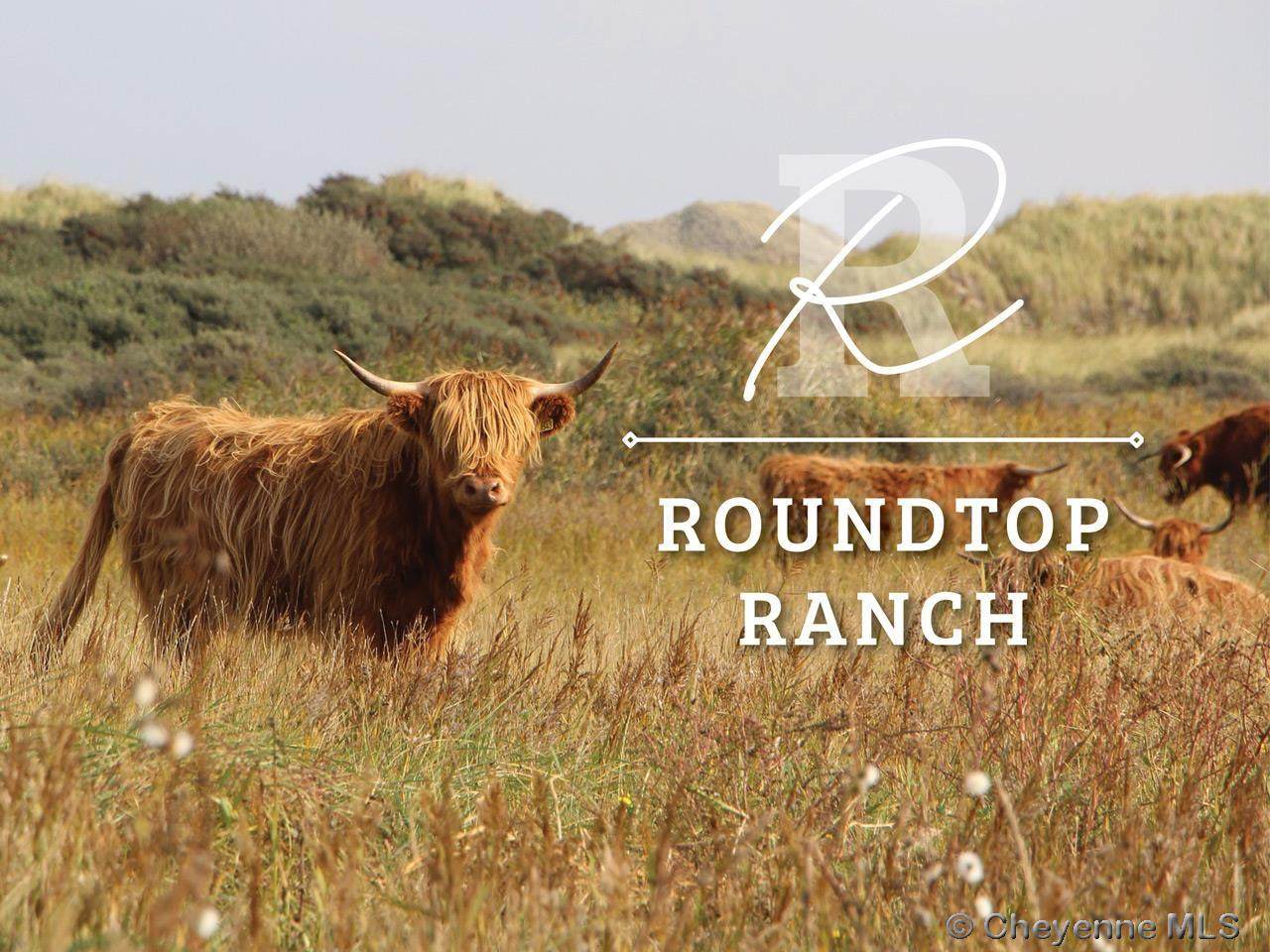Lot 48 Big Horn Mountain Rd - Photo 1