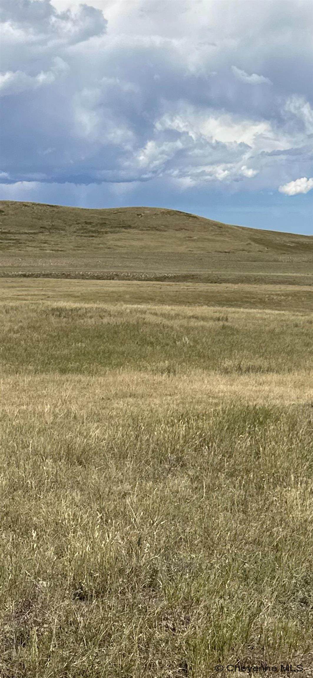 Tract 42 Brooks Blvd - Photo 1