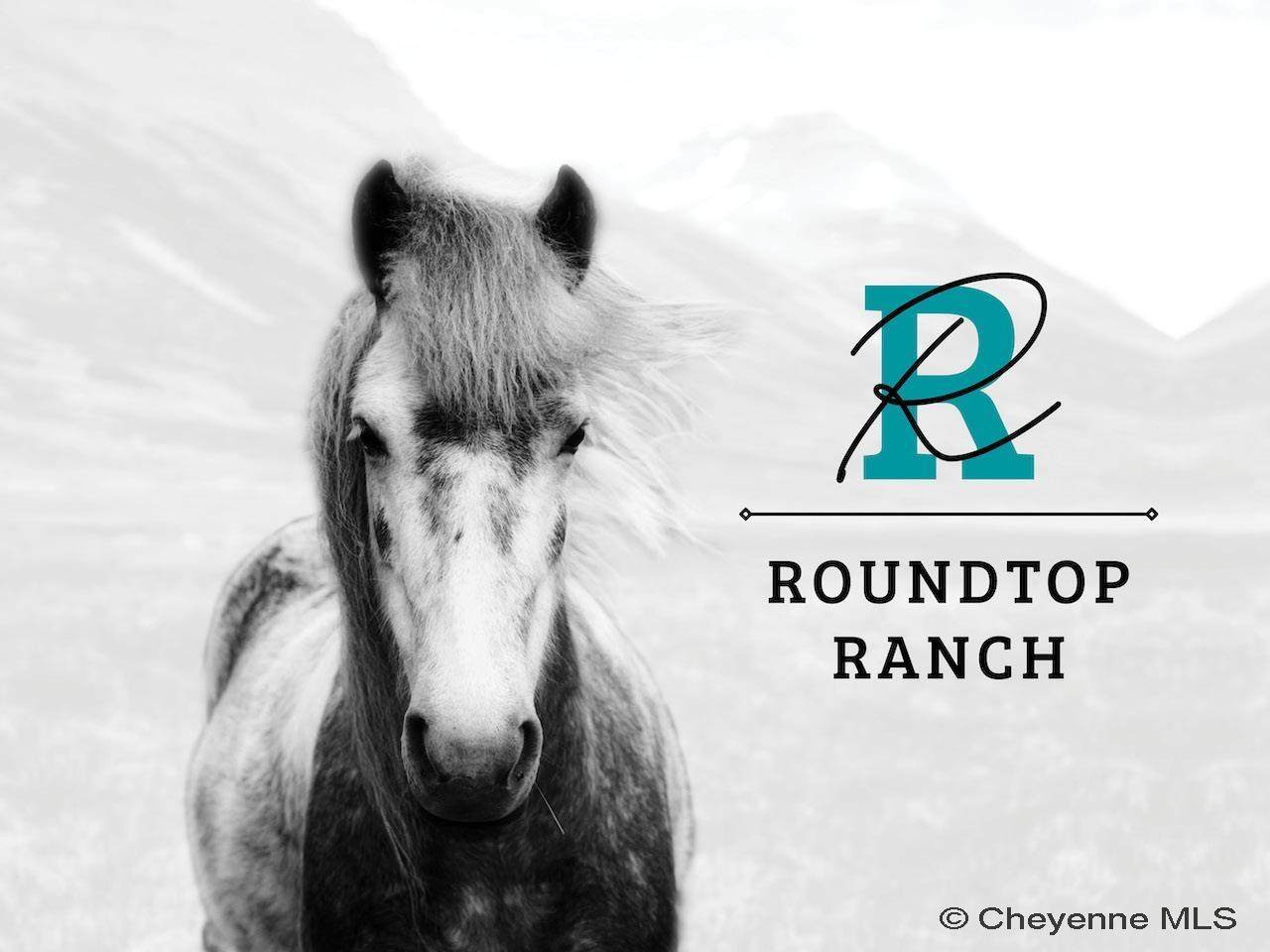 Lot 7 Snowy Mountain Ct - Photo 1