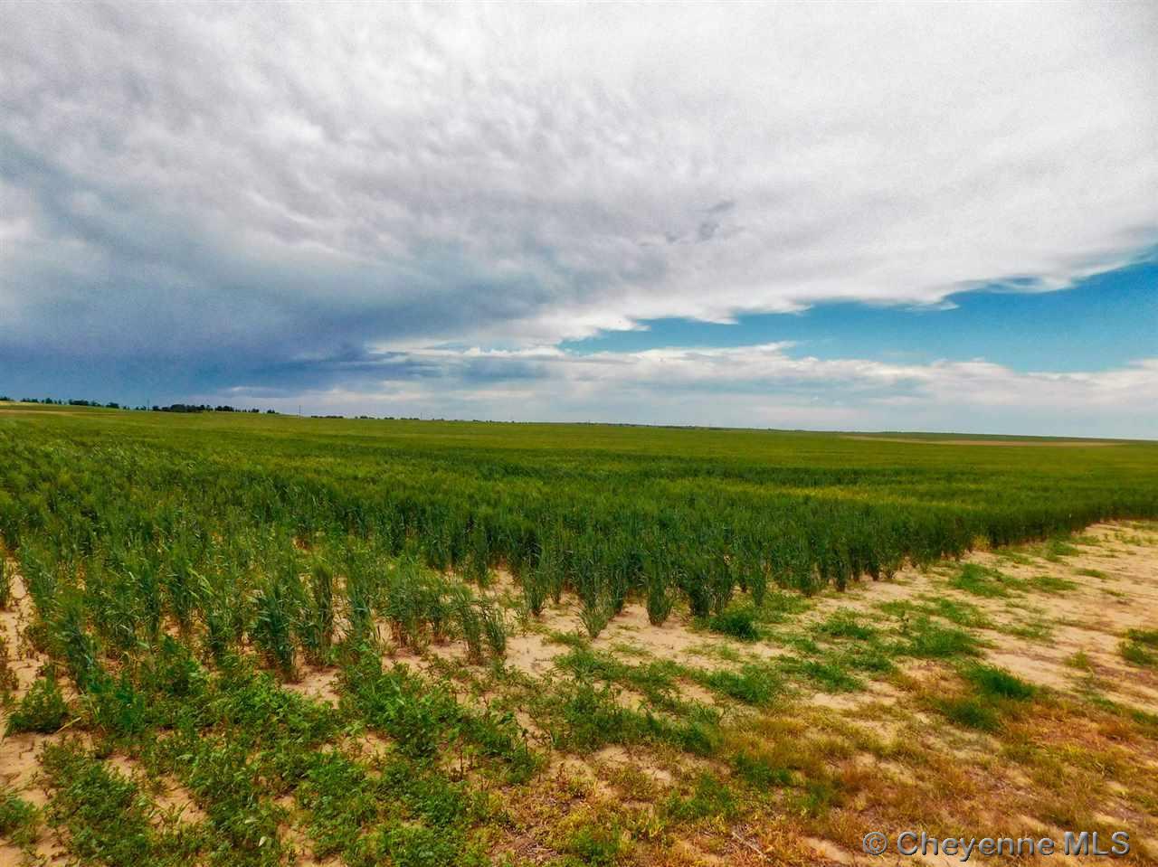 TBD Road 164 - Photo 1