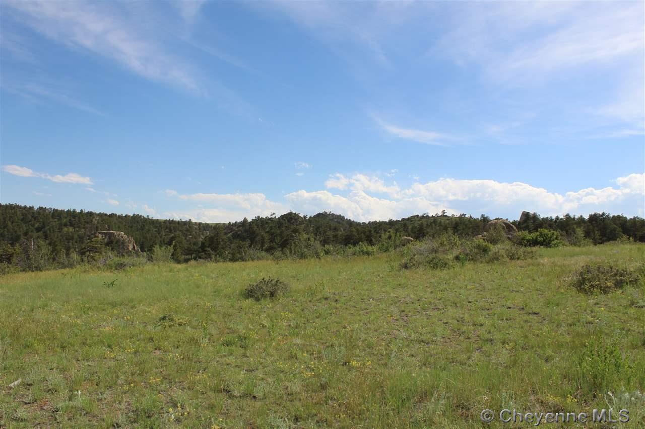 1191 Granite Springs - Photo 1