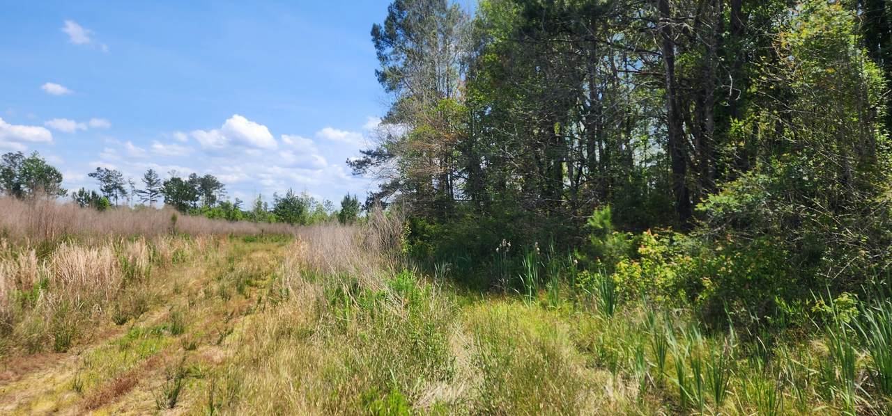 0 Iris Lane - Photo 1
