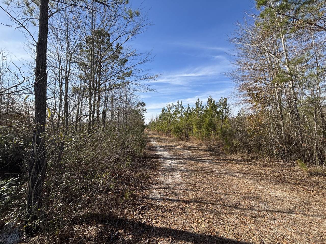 0 Hwy 15 - Photo 1