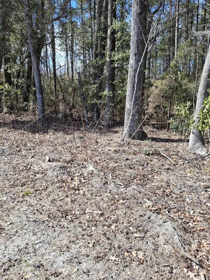  County Line Road - Photo 1