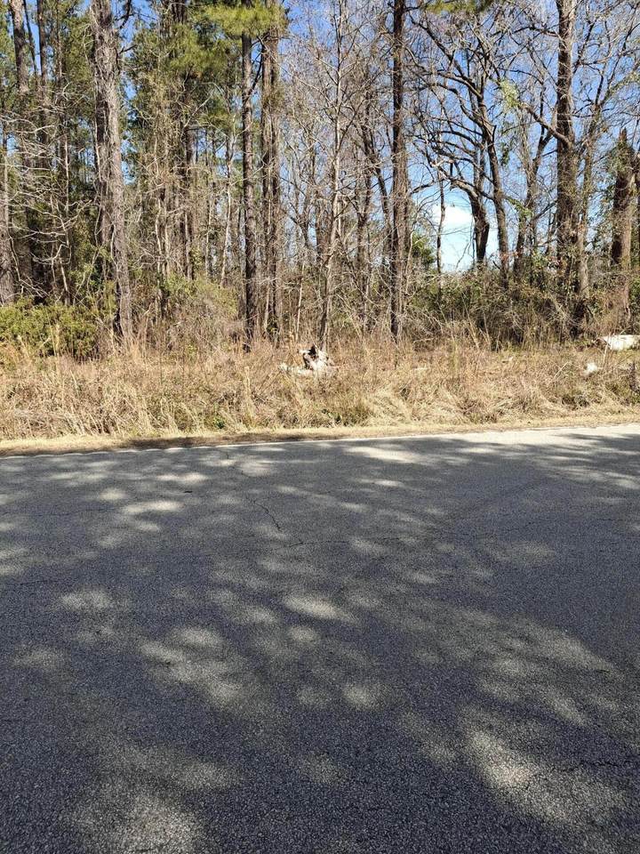https://bt-photos.global.ssl.fastly.net/chscomm/1280_boomver_1_31005683-2.jpg