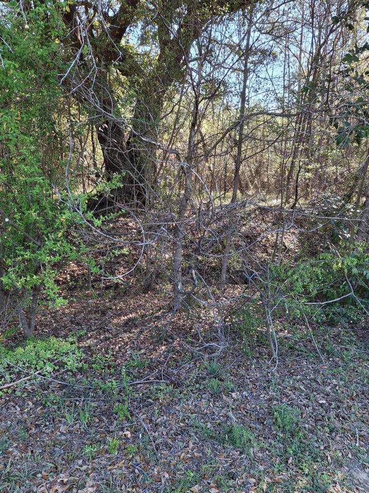 State Road Road - Photo 1