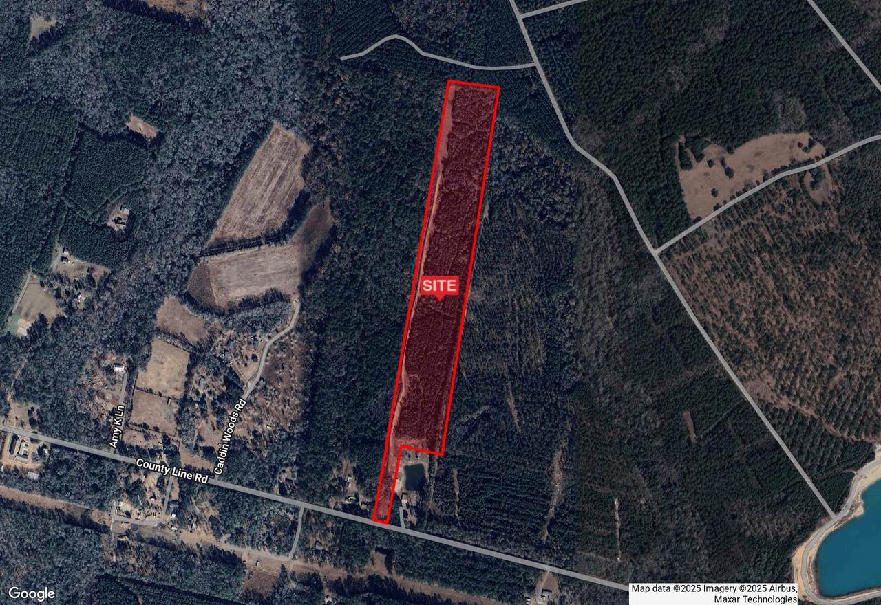 5650 County Line Road - Photo 1