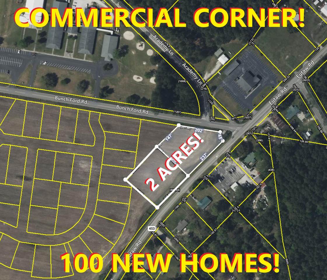 0 Bunch Ford & Eutaw Rd(Corner!) - Photo 1
