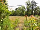 587 Main Road - Photo 7