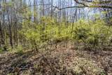 000 Greyback Road - Photo 5