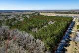 000 Greyback Road - Photo 8