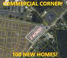 0 Bunch Ford & Eutaw Rd(Corner!) - Photo 1