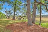 2340 Ashley River Road - Photo 37