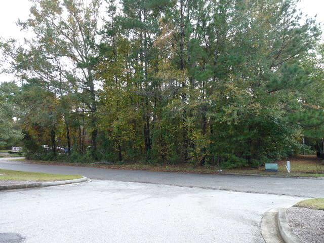 5315 Parkshire Way - Photo 1