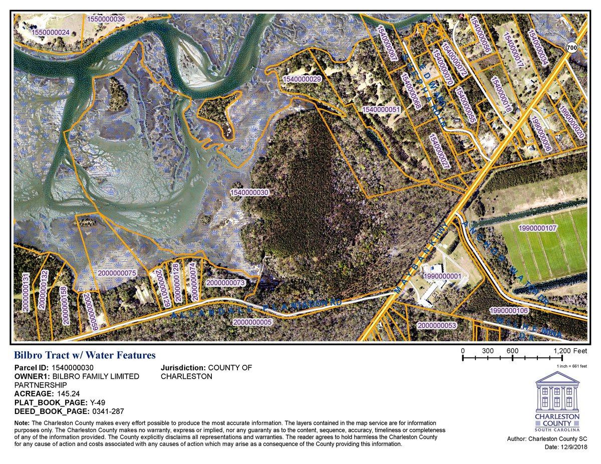 Allandale Plantation Road - Photo 1