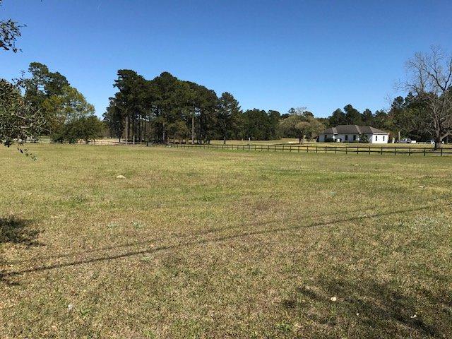 9135 Old Hwy 6 - Photo 1