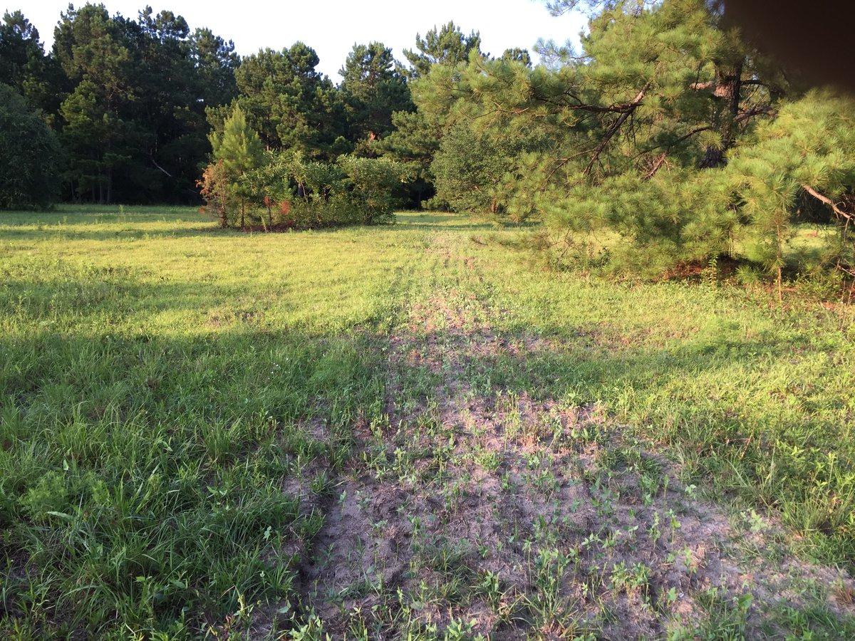 212 Spring Dell Way - Photo 1