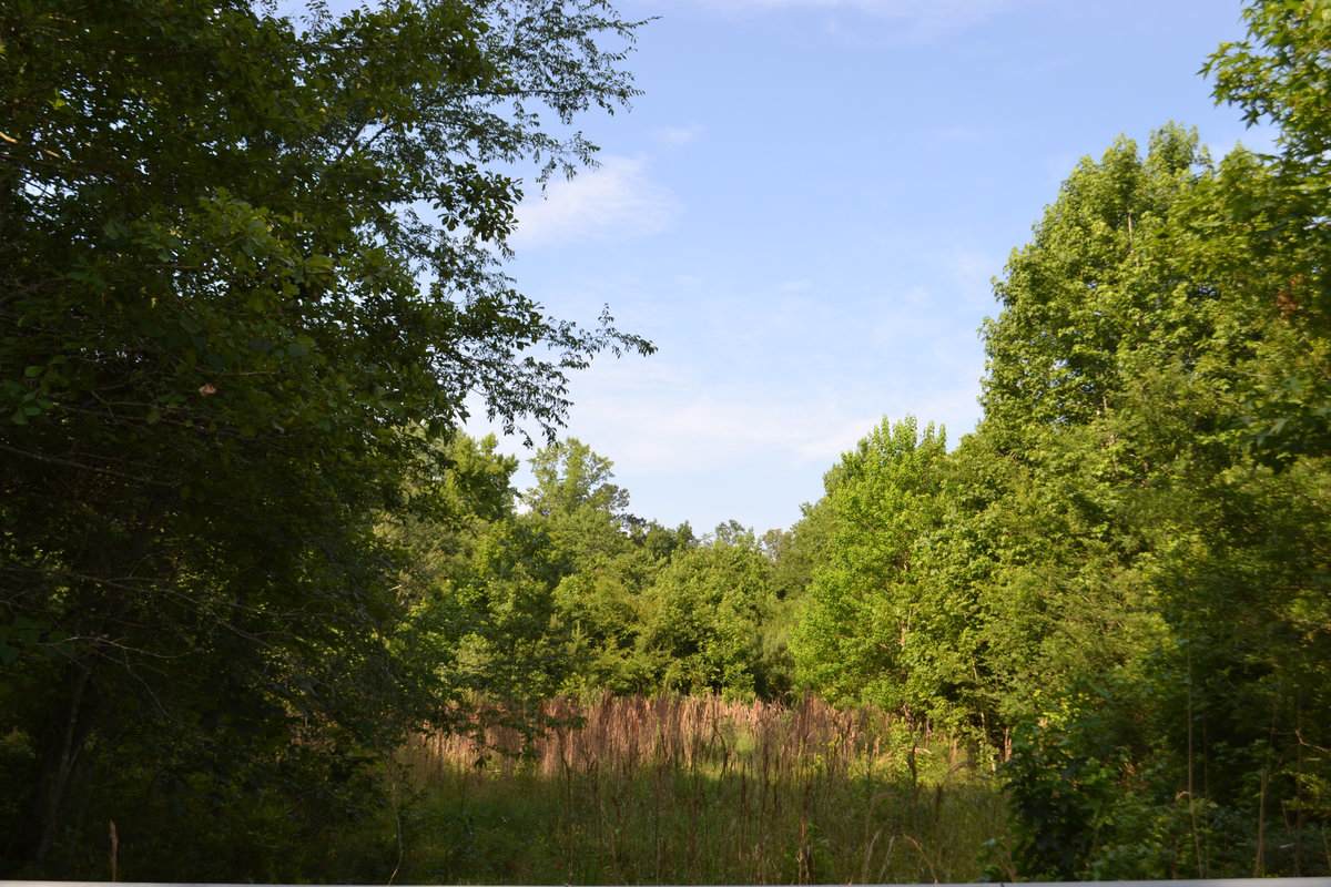 171 Winningham Rd - Photo 1 171 Winningham Rd - Photo 1