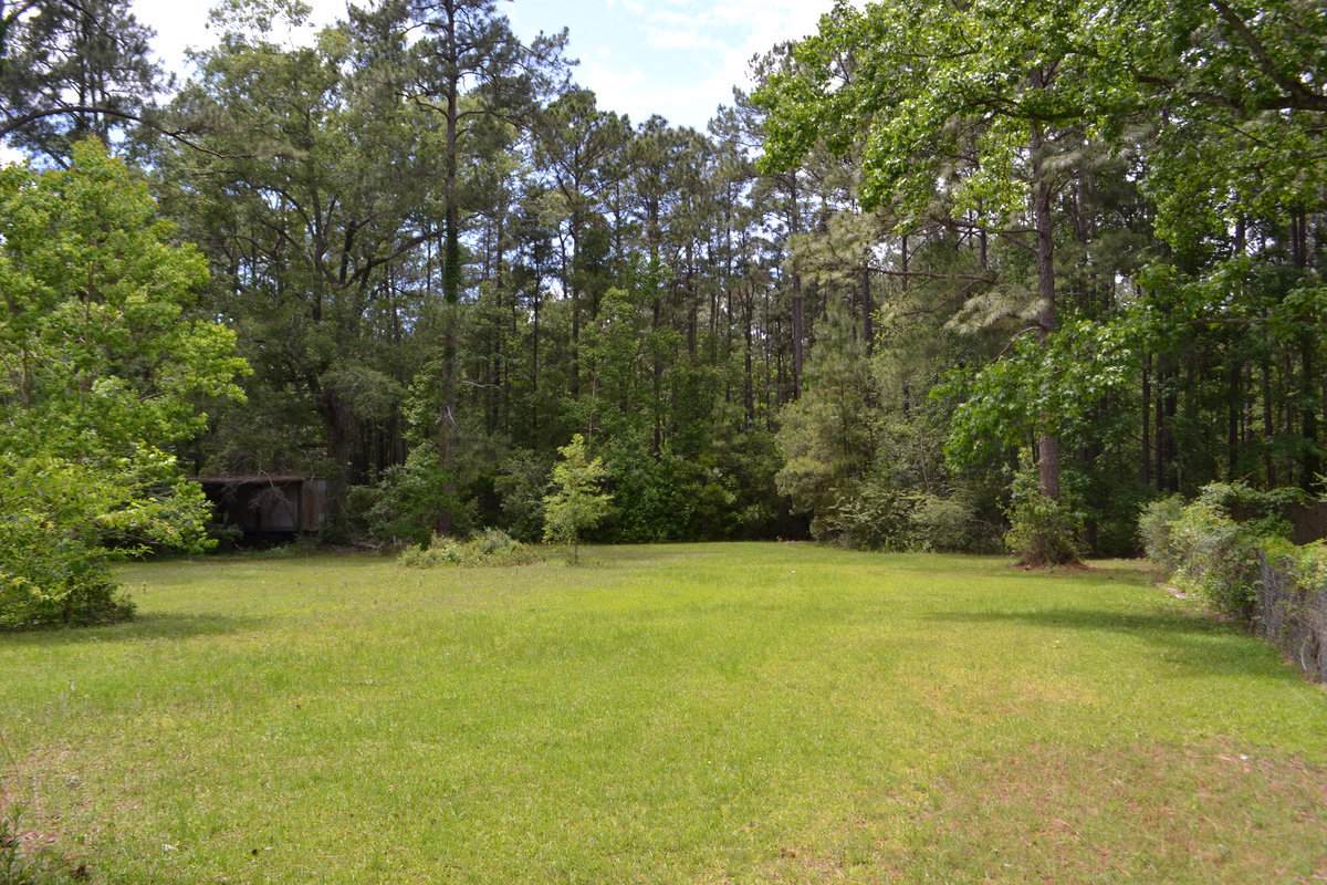 O T Wallace Drive - Photo 1