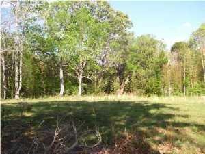 0 Highway 165 Road - Photo 1