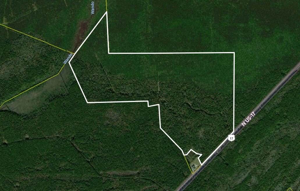 Hwy 17 - Photo 1